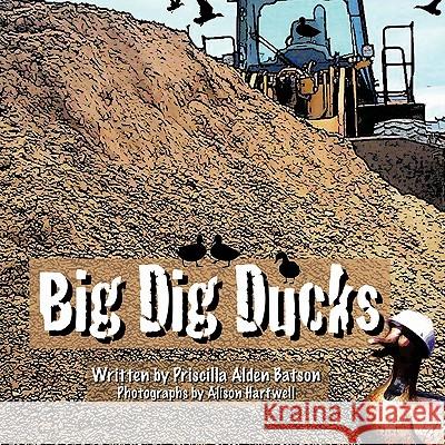 Big Dig Ducks Priscilla Batson 9781438992495 Authorhouse