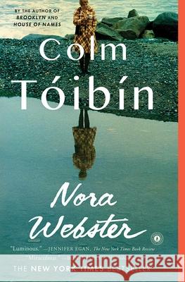 Nora Webster Colm Toibin 9781439170939 Scribner Book Company