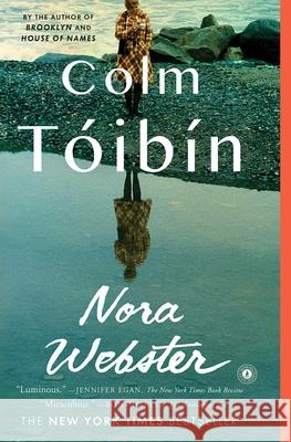 Nora Webster Colm Toibin 9781439170939