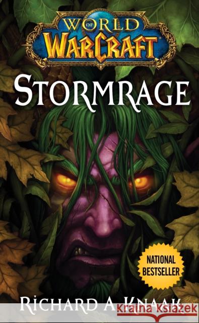 World of Warcraft: Stormrage Richard A Knaak 9781439189467