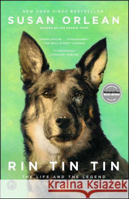 Rin Tin Tin: The Life and the Legend Susan Orlean 9781439190142 Simon & Schuster
