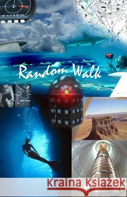 Random Walk Winfried Wilcke 9781439204849 Booksurge Publishing