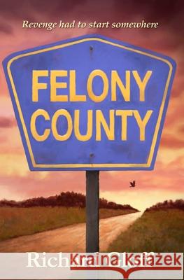 Felony County Richard Gloff 9781439210352 Booksurge Publishing