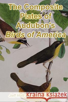The Composite Plates of Audubon's Birds of America Jeff Holt Albert Filemyr 9781439213186 Booksurge Publishing