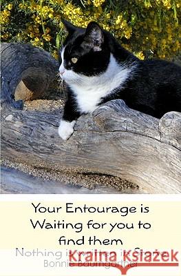 Your Entourage is Waiting for you to find them: Nothing is written in Stone Baumgartner, Bonnie 9781439241165 Booksurge Publishing
