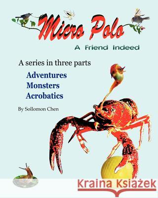 Micro Polo: A Friend Indeed Sollomon Chen 9781439242384 Booksurge Publishing