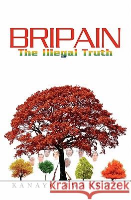 Bripain: The Illegal Truth Kanayo Nwankwo 9781439262078 Booksurge Publishing