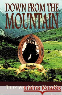 Down from the Mountain James Mackrell 9781439264843 Booksurge Publishing