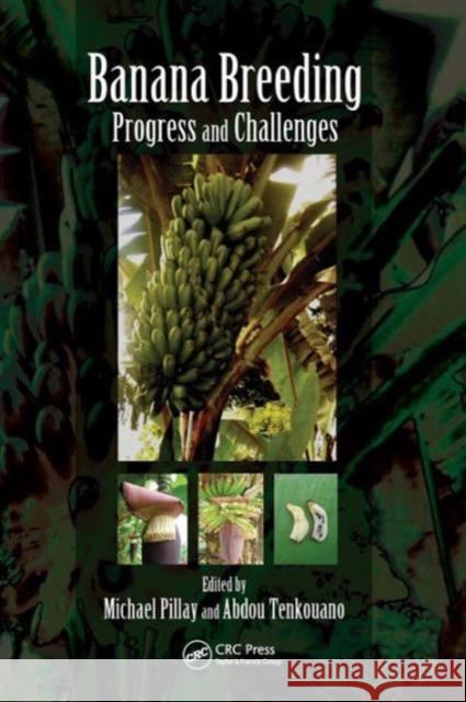Banana Breeding: Progress and Challenges Pillay, Michael 9781439800171 Taylor and Francis