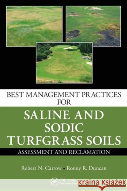 Best Management Practices for Saline and Sodic Turfgrass Soils: Assessment and Reclamation Carrow, Robert N. 9781439814741