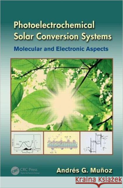 Photoelectrochemical Solar Conversion Systems: Molecular and Electronic Aspects Muñoz, Andrés G. 9781439869253 