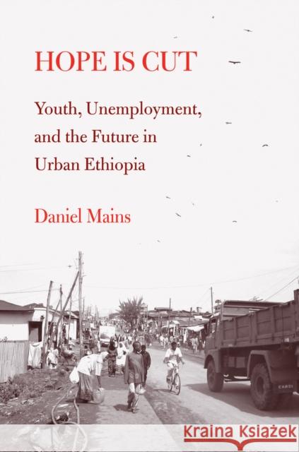 Hope Is Cut: Youth, Unemployment, and the Future in Urban Ethiopia Daniel Mains 9781439904800 Temple University Press