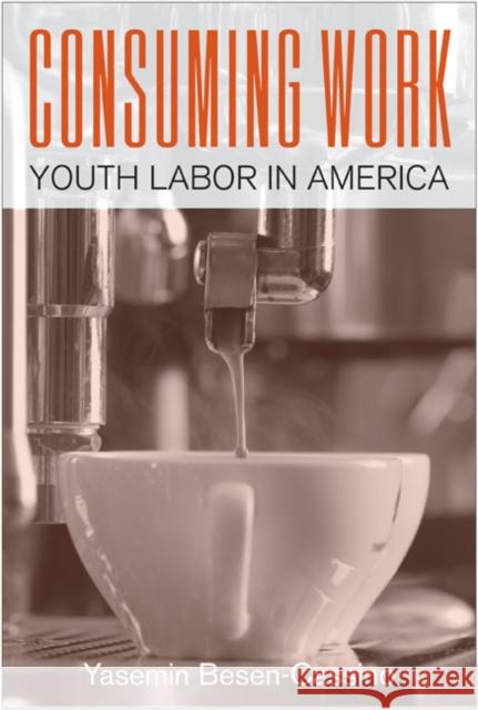 Consuming Work: Youth Labor in America Yasemin Besen-Cassino 9781439909485 Temple University Press