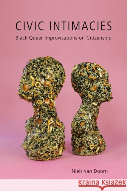 Civic Intimacies: Black Queer Improvisations on Citizenship Niels Va 9781439918425 Temple University Press