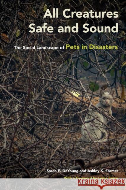 All Creatures Safe and Sound: The Social Landscape of Pets in Disasters Sarah E. DeYoung Ashley K. Farmer Leslie Irvine 9781439919743 Temple University Press