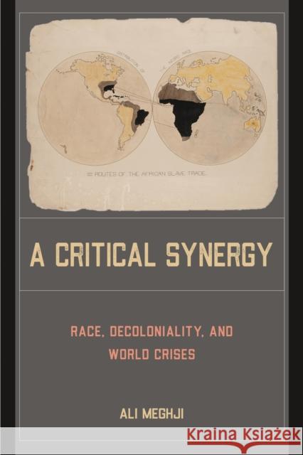 A Critical Synergy Ali Meghji 9781439922071 Temple University Press,U.S.