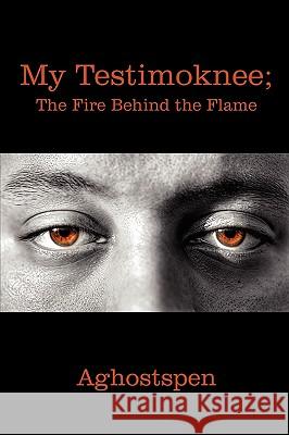 My Testimoknee; The Fire Behind the Flame Aghostspen 9781440102363 iUniverse.com
