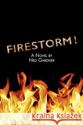 Firestorm! Ned Gardner 9781440112812 iUniverse.com