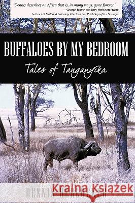 Buffaloes by My Bedroom Dennis Herlocker 9781440147241