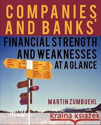 Companies and Banks' Financial Strength and Weaknesses at a Glance Martin Zumbuehl 9781440179433 iUniverse.com