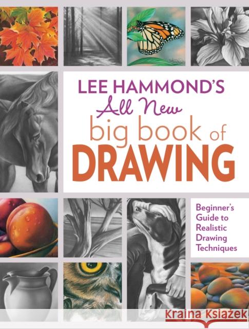 Lee Hammond's All New Big Book of Drawing: Beginner's Guide to Realistic Drawing Techniques Lee Hammond 9781440343094 North Light Books