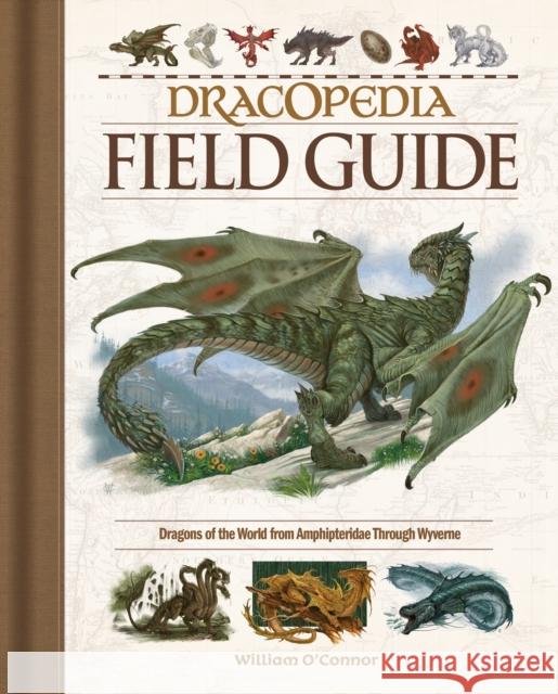 Dracopedia Field Guide: Dragons of the World from Amphipteridae Through Wyvernae  9781440353840 Impact