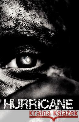 Hurricane Diamond Cartel 9781440463952 Createspace