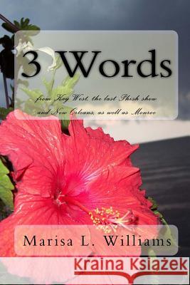 3 Words: from Key West, the last Phish show and New Orleans, as well as Monroe Williams, Marisa L. 9781440488016 Createspace Independent Publishing Platform