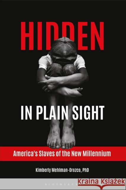 Hidden in Plain Sight: America's Slaves of the New Millennium Kimberly Mehlman-Orozco 9781440854033