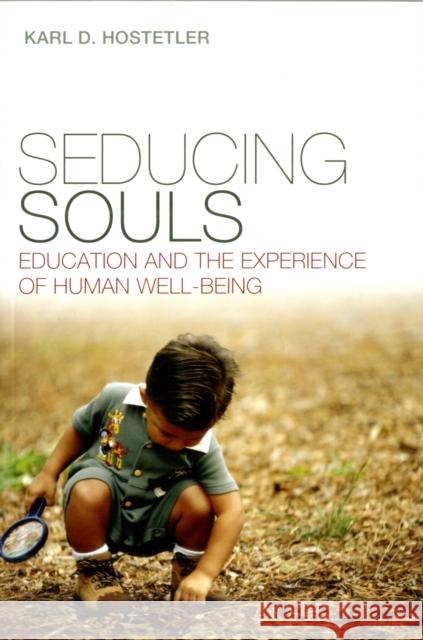 Seducing Souls: Education and the Experience of Human Well-Being Hostetler, Karl D. 9781441149602