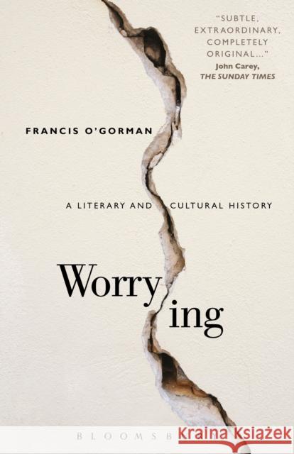 Worrying : A Literary and Cultural History Francis OGorman 9781441151292 Bloomsbury Academic