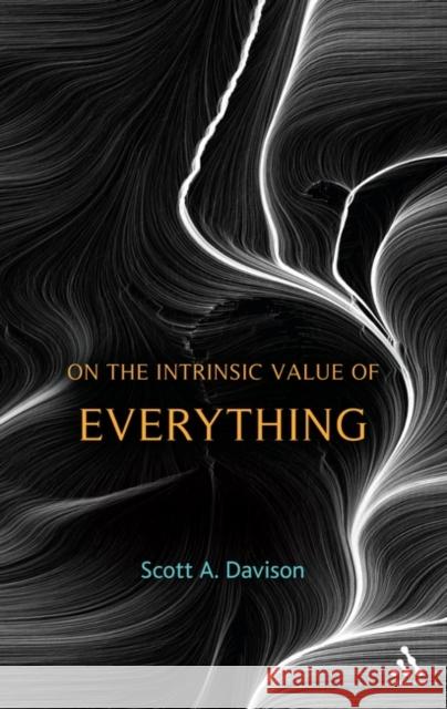 On the Intrinsic Value of Everything Scott A Davison 9781441177926 0