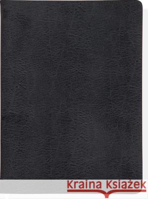 Flanders Black Lined Journal Peter Pauper Press 9781441306203 Not Avail