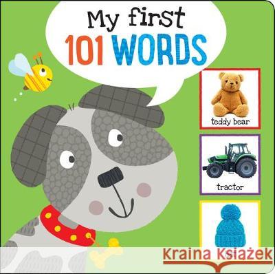 I'm Learning My First 101 Words! Board Book Peter Pauper Press, Inc 9781441333094 Peter Pauper Press