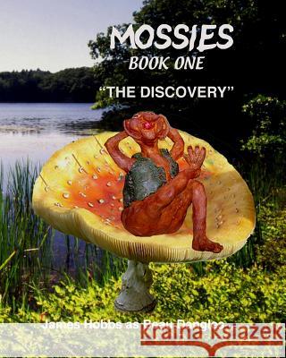 The Discovery James Hobbs 9781441489432