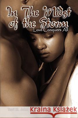 In the Midst of the Storm Terri M. Patrick a. Todd Sr. Johnson 9781441508034