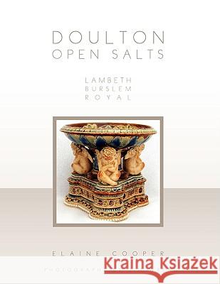 Doulton Open Salts Lambeth Burslem Royal Elaine Cooper 9781441515667 Xlibris Corporation