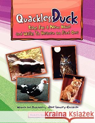 Quakless Duck Prays for a New Voice Jane Lowrey-Christian 9781441518460