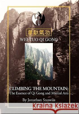 Climbing the Mountain Jonathan Snowiss 9781441522252 Xlibris