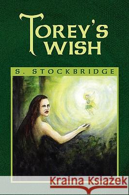 Torey's Wish S. Stockbridge 9781441526342