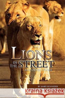 Lions in the Street James Schneider 9781441549686