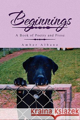 Beginnings Amber Albano 9781441551559
