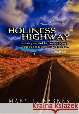 Holiness Highway Mary L. Barnes 9781441553669 Xlibris Corporation
