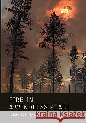 Fire in a Windless Place Joseph Roccasalvo 9781441556851 Xlibris Corporation