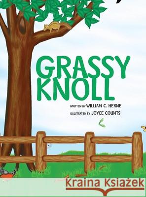 Grassy Knoll William C. Herne 9781441589804 Xlibris Us