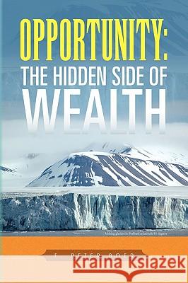 Opportunity: The Hidden Side of Wealth Boer, F. Peter 9781441599346 Xlibris Corporation