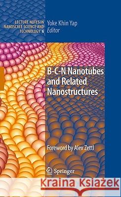 B-C-N Nanotubes and Related Nanostructures Yoke Khin Yap 9781441900852 Springer