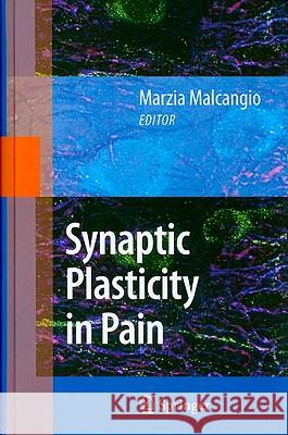 Synaptic Plasticity in Pain Marzia Malcangio 9781441902252 Springer