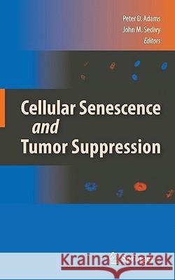 Cellular Senescence and Tumor Suppression Peter D. Adams John M. Sedivy 9781441910745 Springer