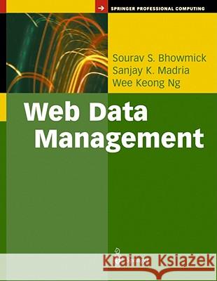 Web Data Management: A Warehouse Approach Sourav S. Bhowmick Sanjay K. Madria Wee K. Ng 9781441918062 Not Avail